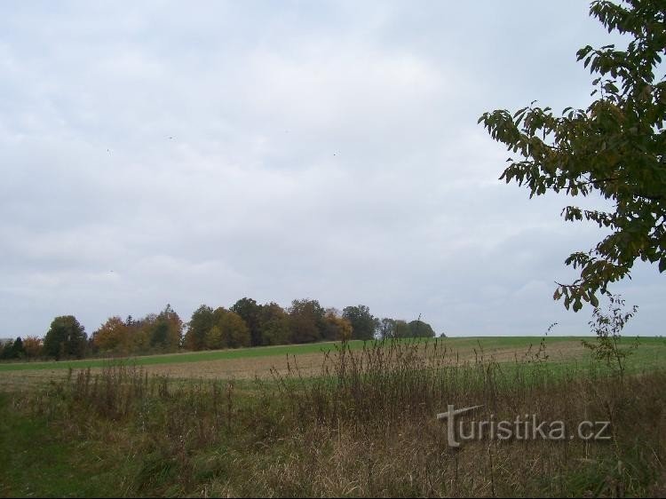 Niva: Uitzicht op de heuvel