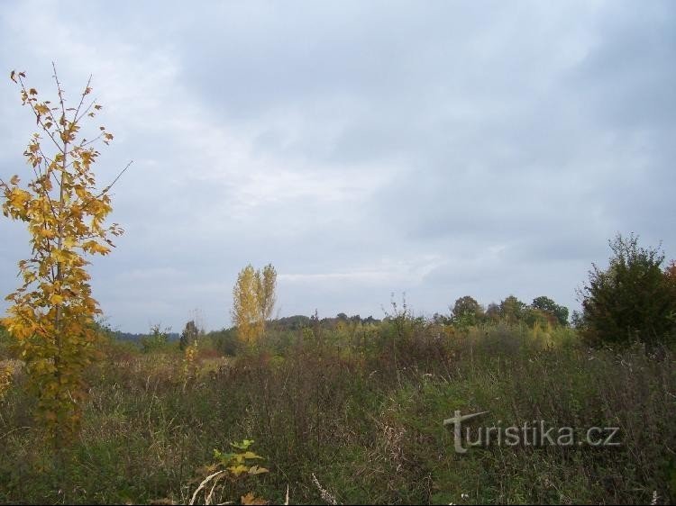 Niva: Uitzicht op de omgeving, heuvel op de achtergrond