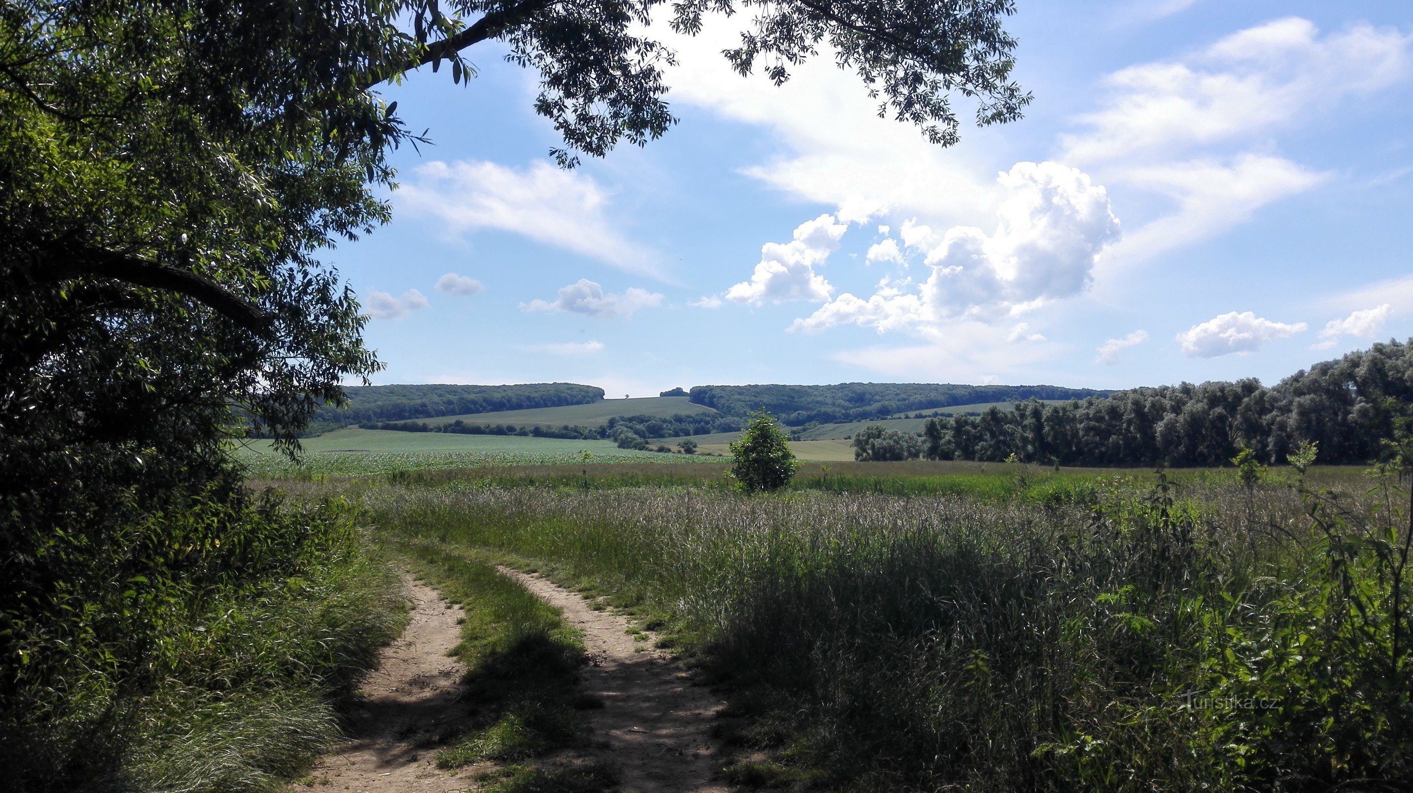 Sentier Nivnica