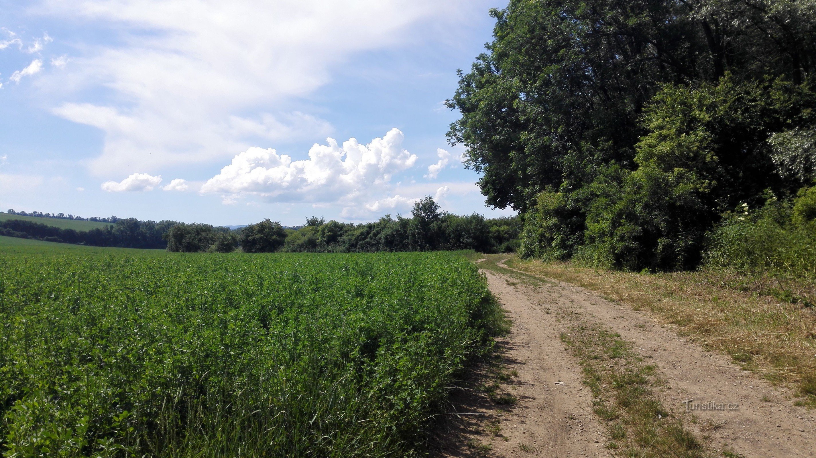 Sentier Nivnica