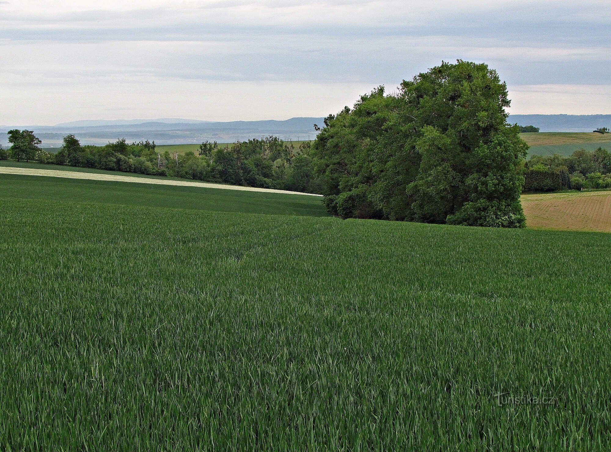 Lave og ru Jeseník og Oder Hills