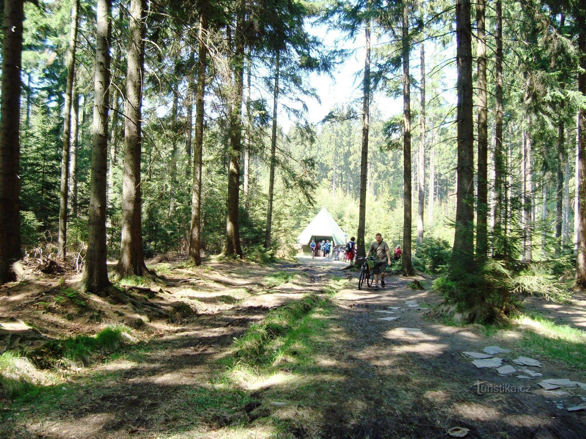 Nízký Jeseník, zona de Oder Hills - nacimiento del río Odra - camino de acceso al nacimiento - F