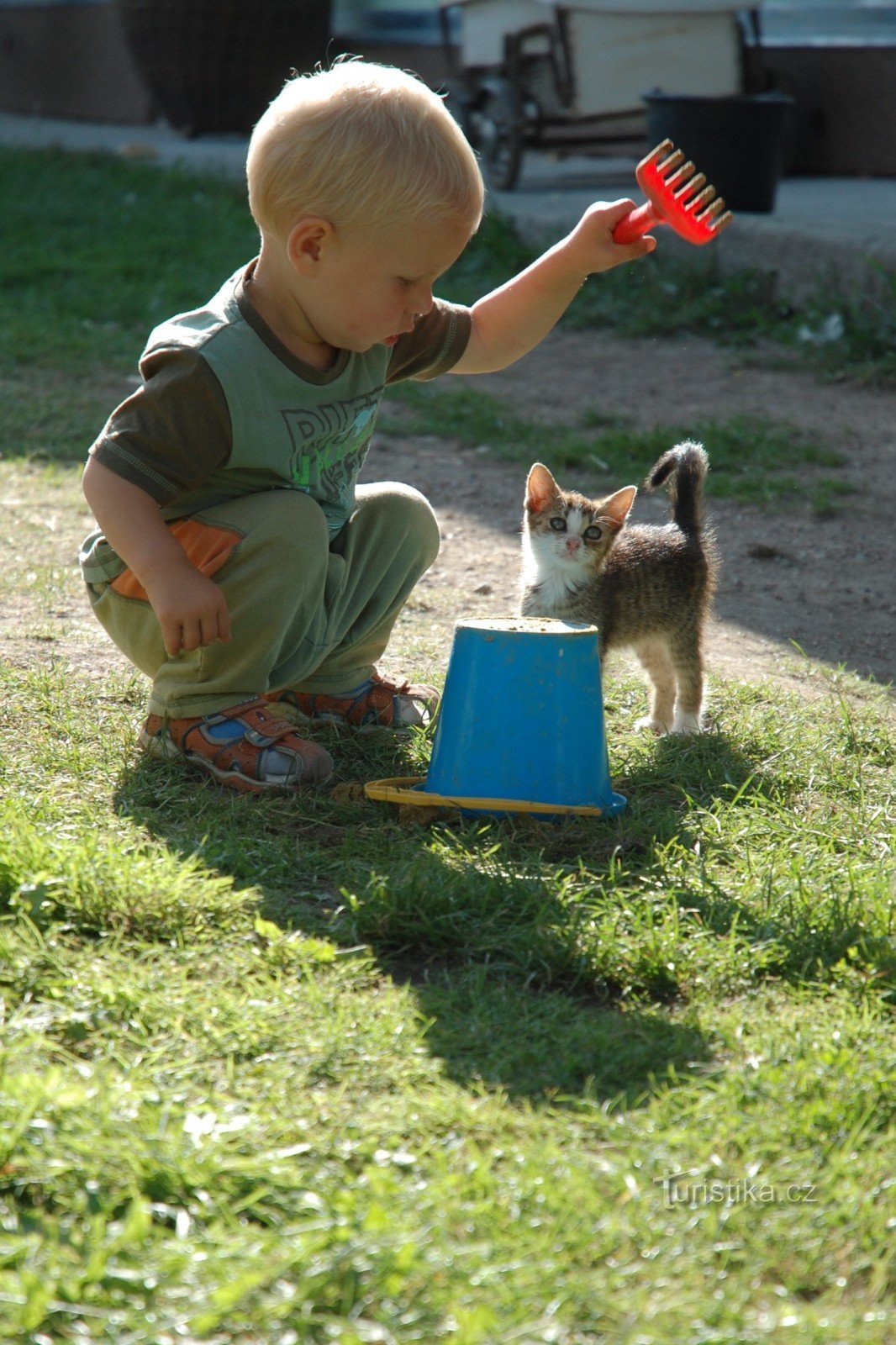 Bardziej popularne święto...