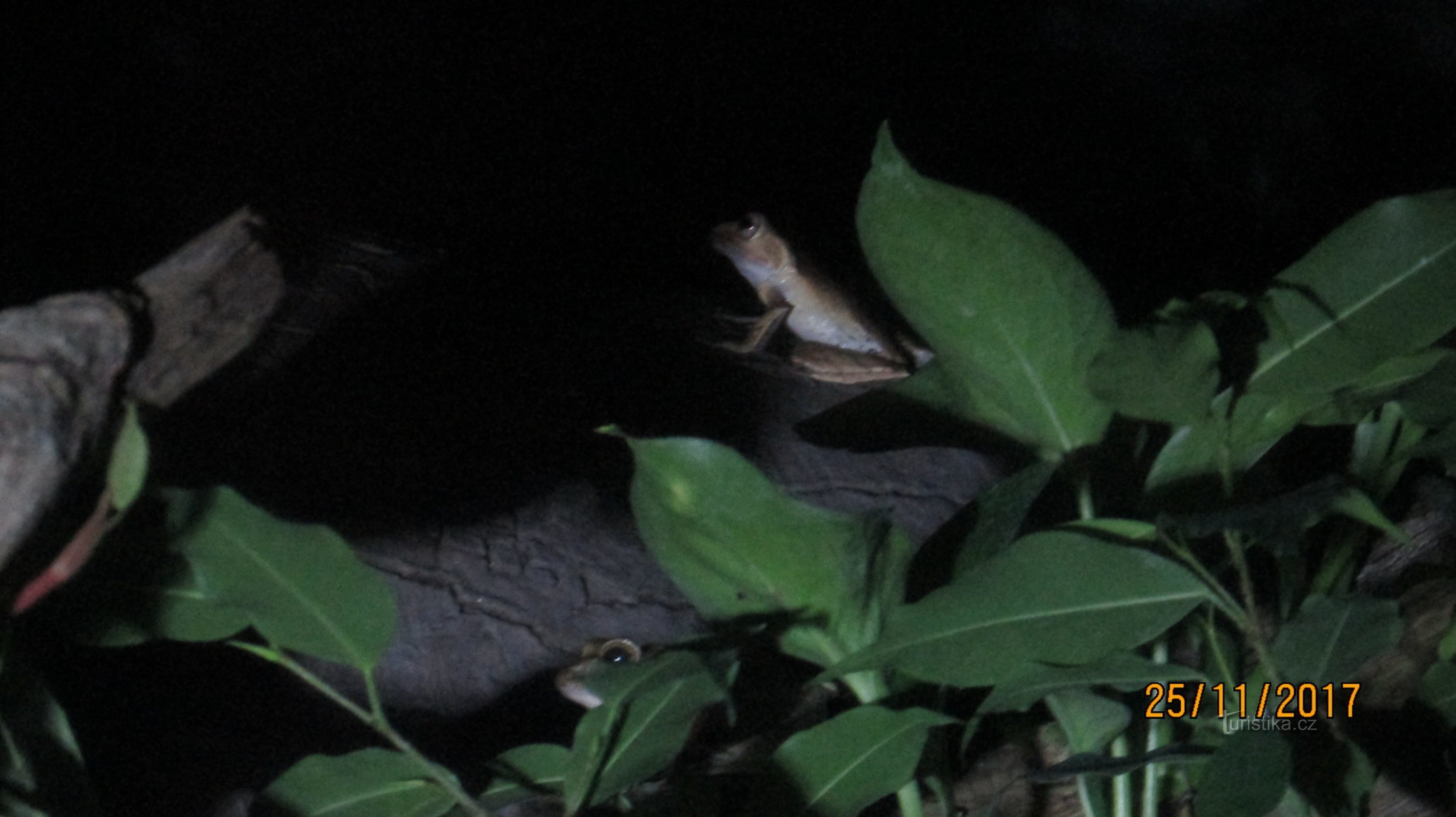 Visita nocturna al ZOO de Praga, cuando los animales ya no están