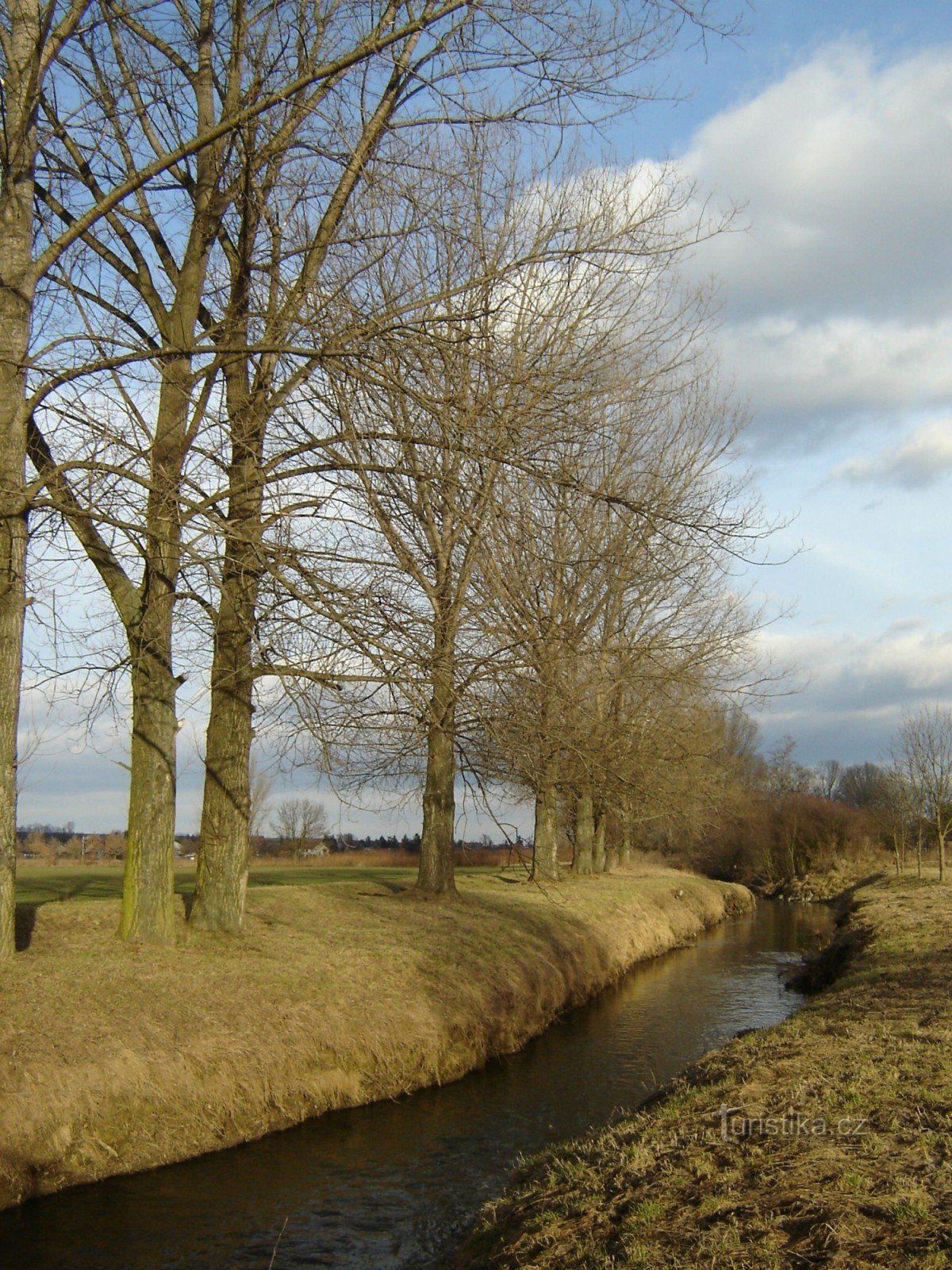 État normal de l'eau