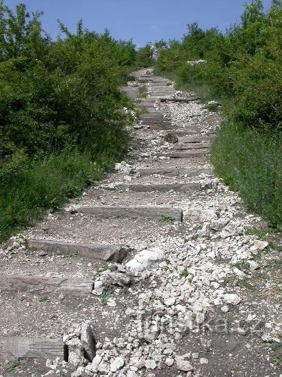 Un nou traseu spre vârful Muntelui Table