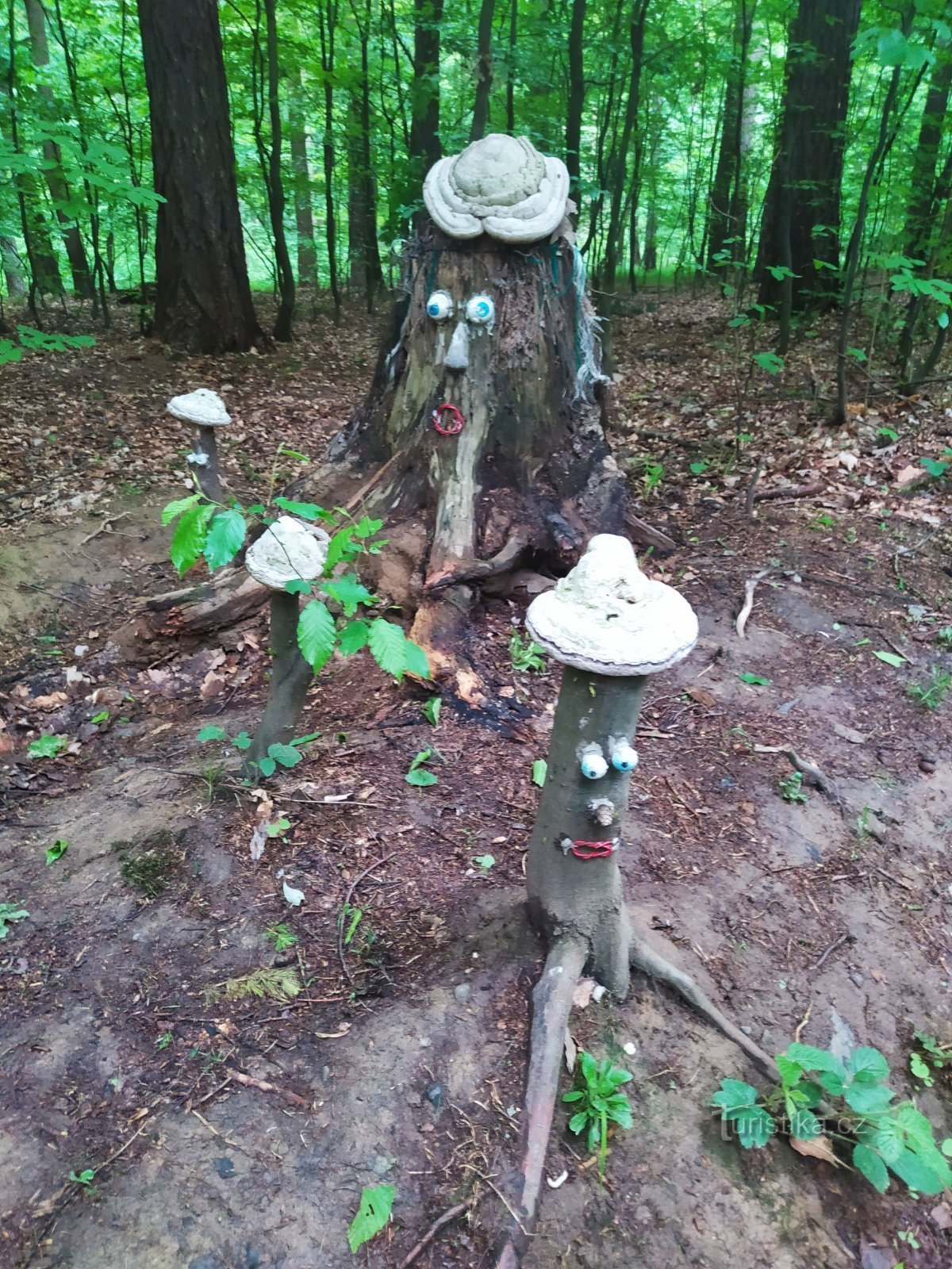 Nová Dědina - Vrbecko - sur le chemin de la Croix Noire ou de la Croix Nouée...