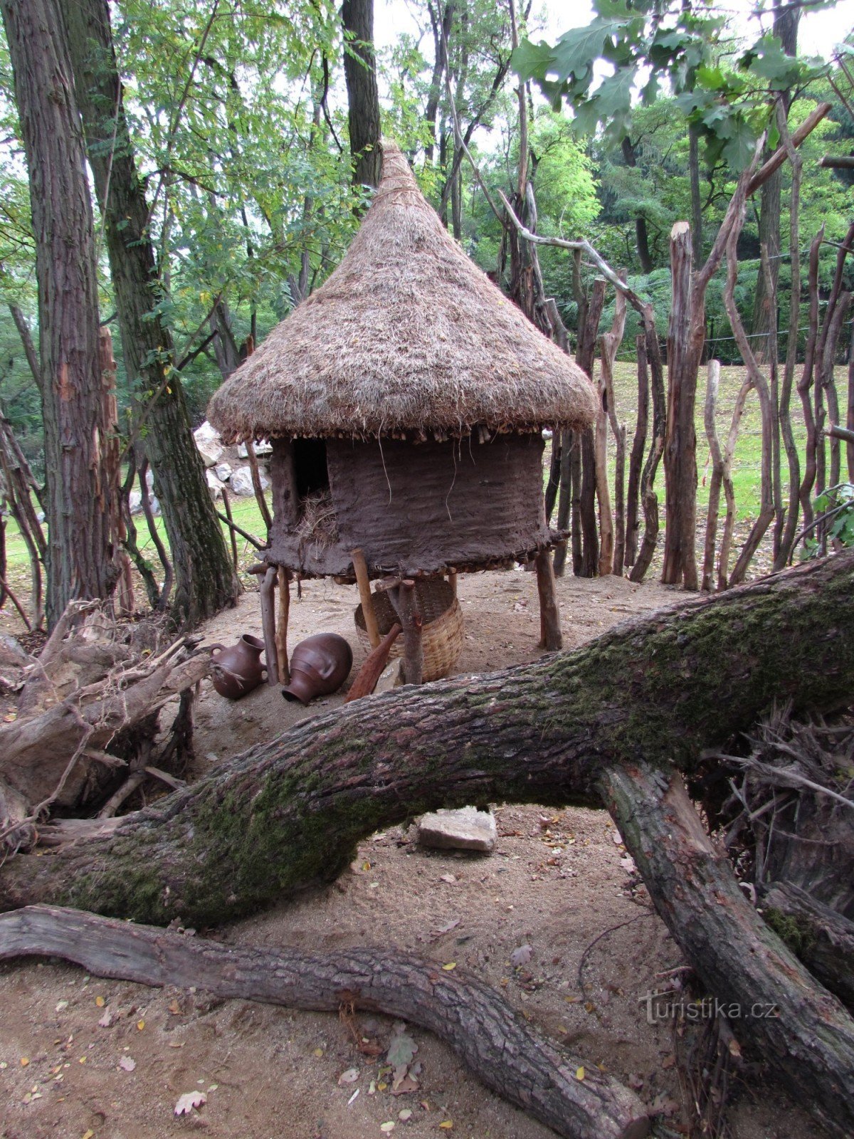 Triển lãm mới ở ZOO Lešná - Ethiopia II