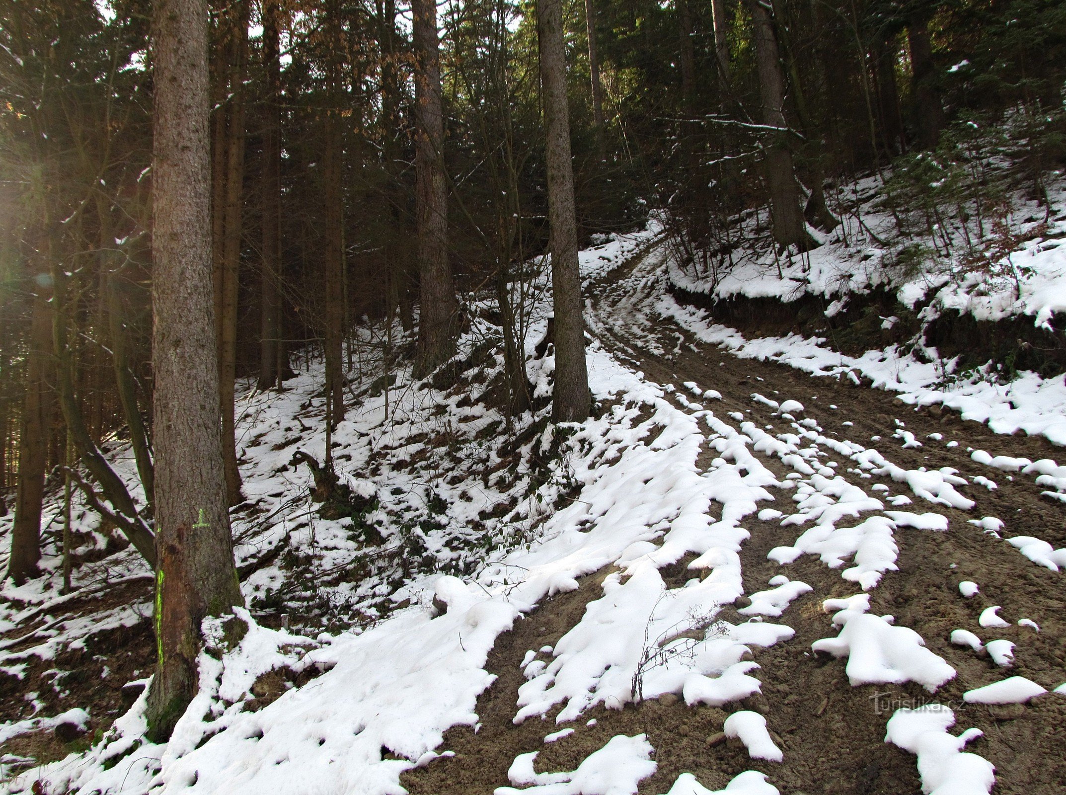 nuova strada di accesso al bosco sopra la sorgente