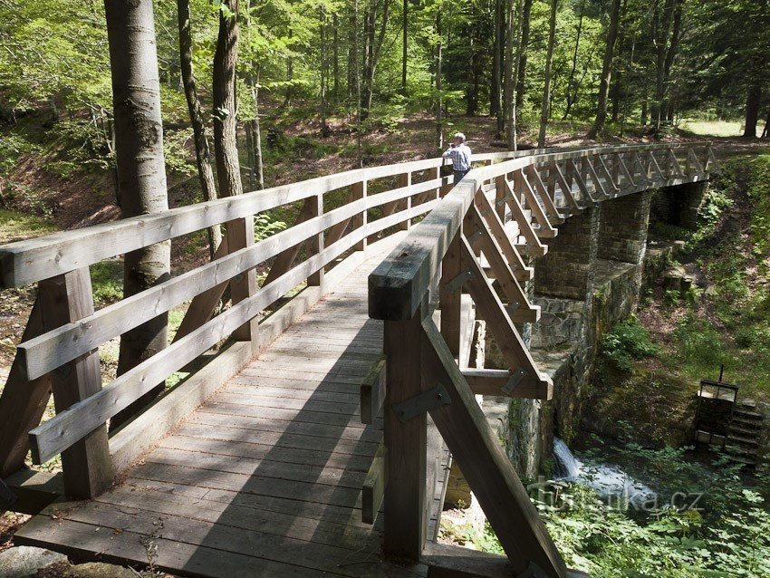 Neue Brücke