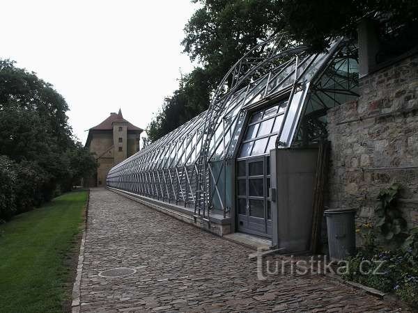 Nowa oranżeria (w tle wschodnia fasada Wielkiej Sali Balowej)