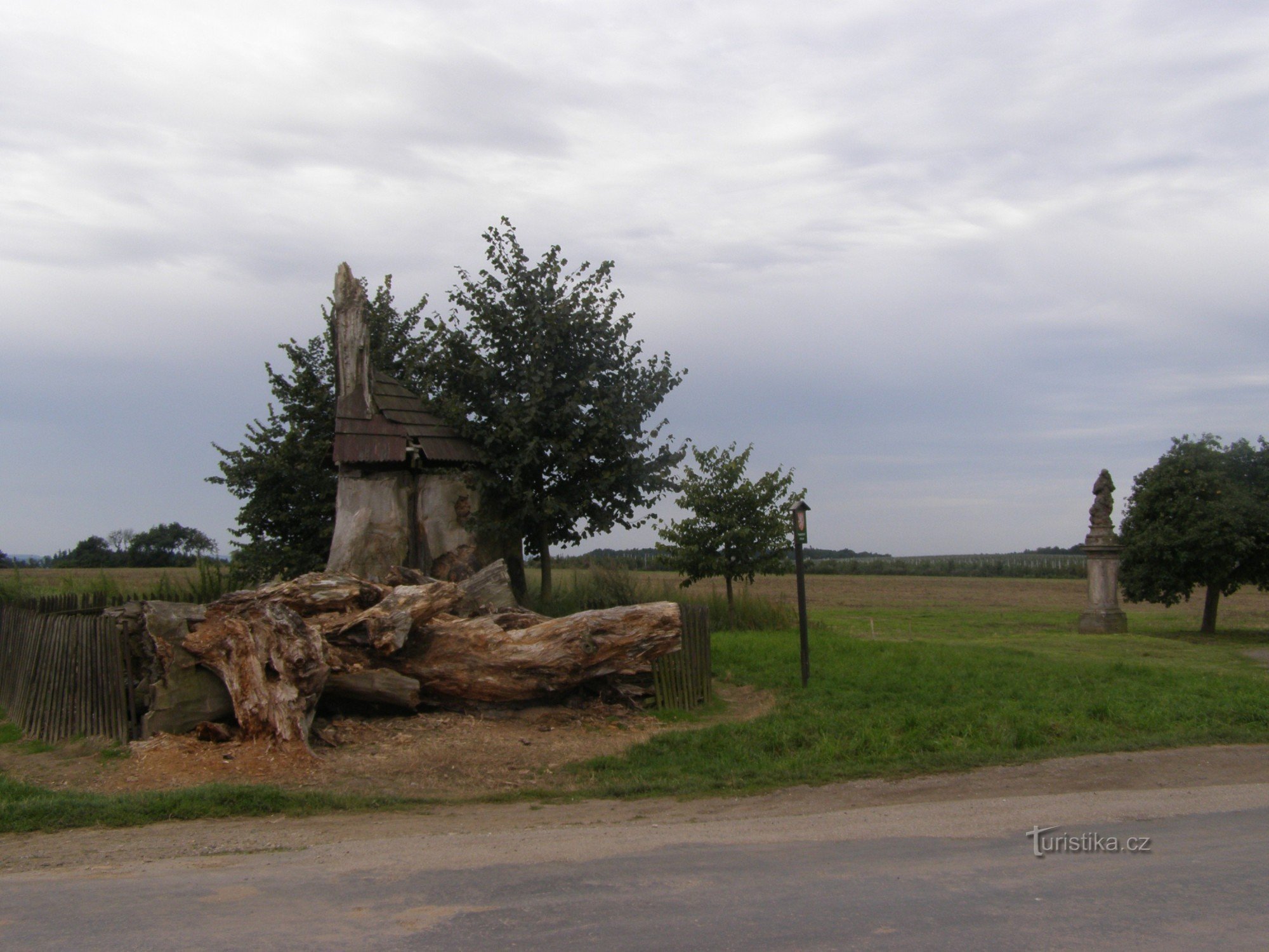 "nouveau" tilleul de Semtín