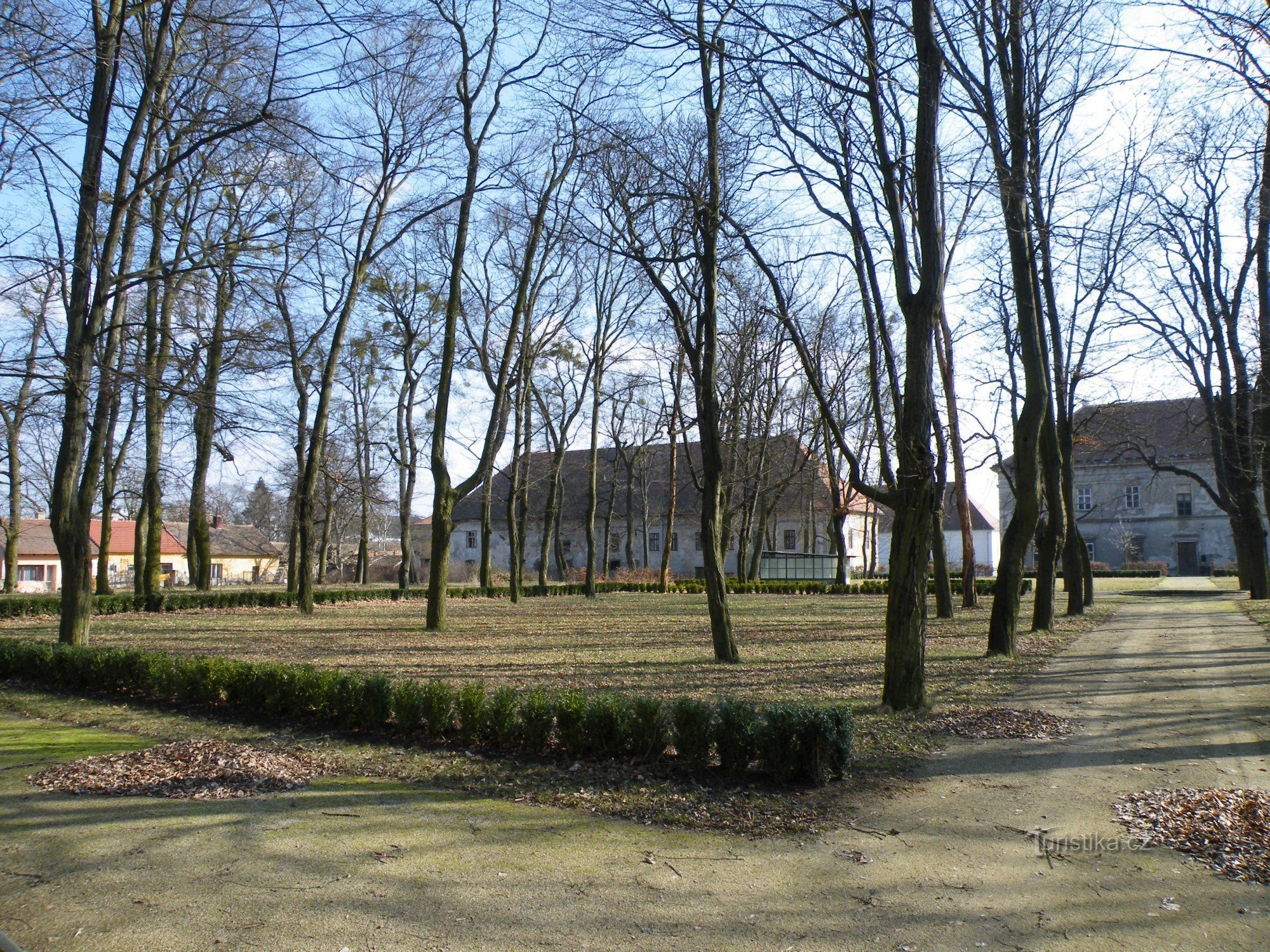 nuova piantumazione in giardino