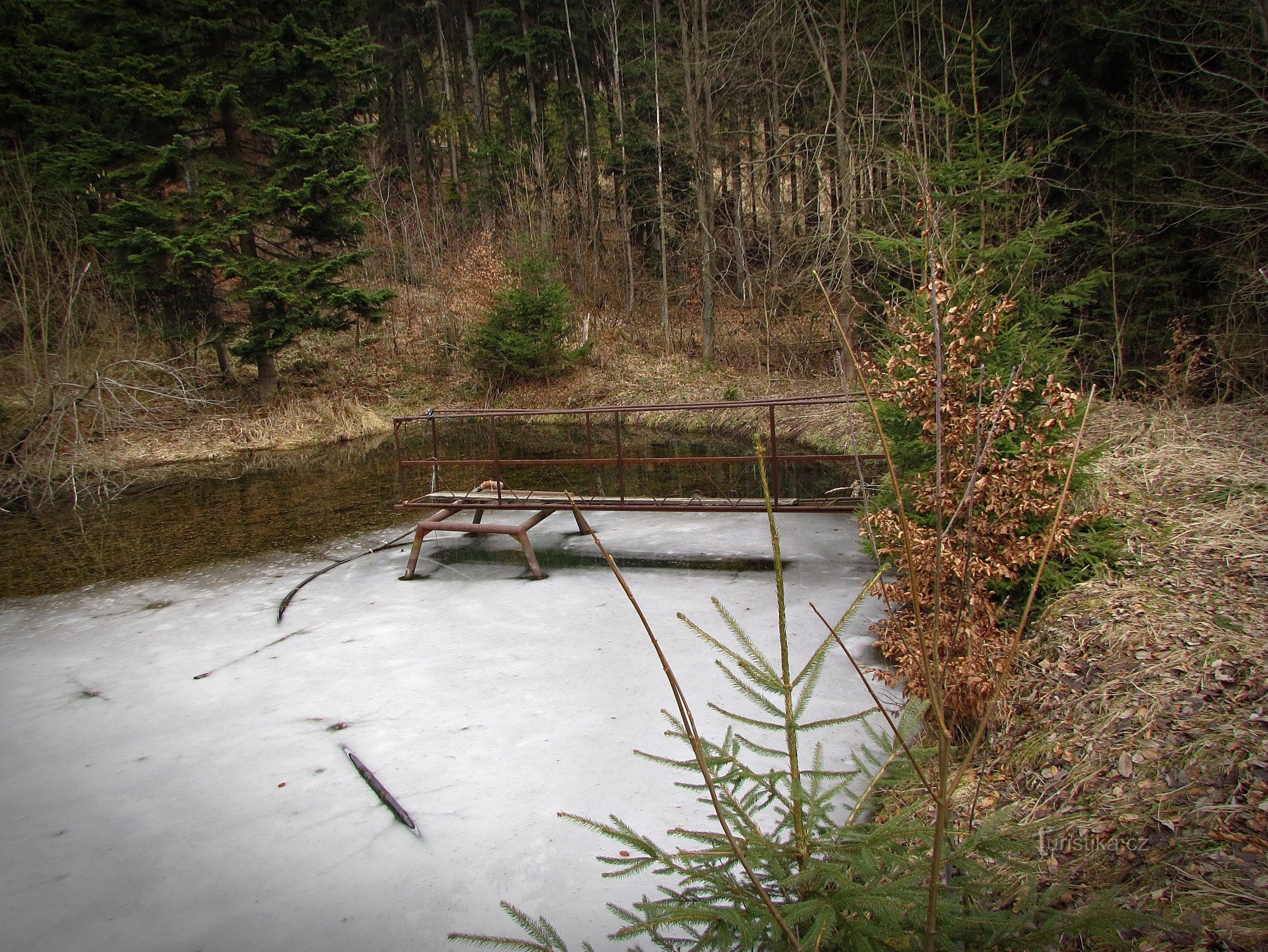 nyligen tillagda bilder