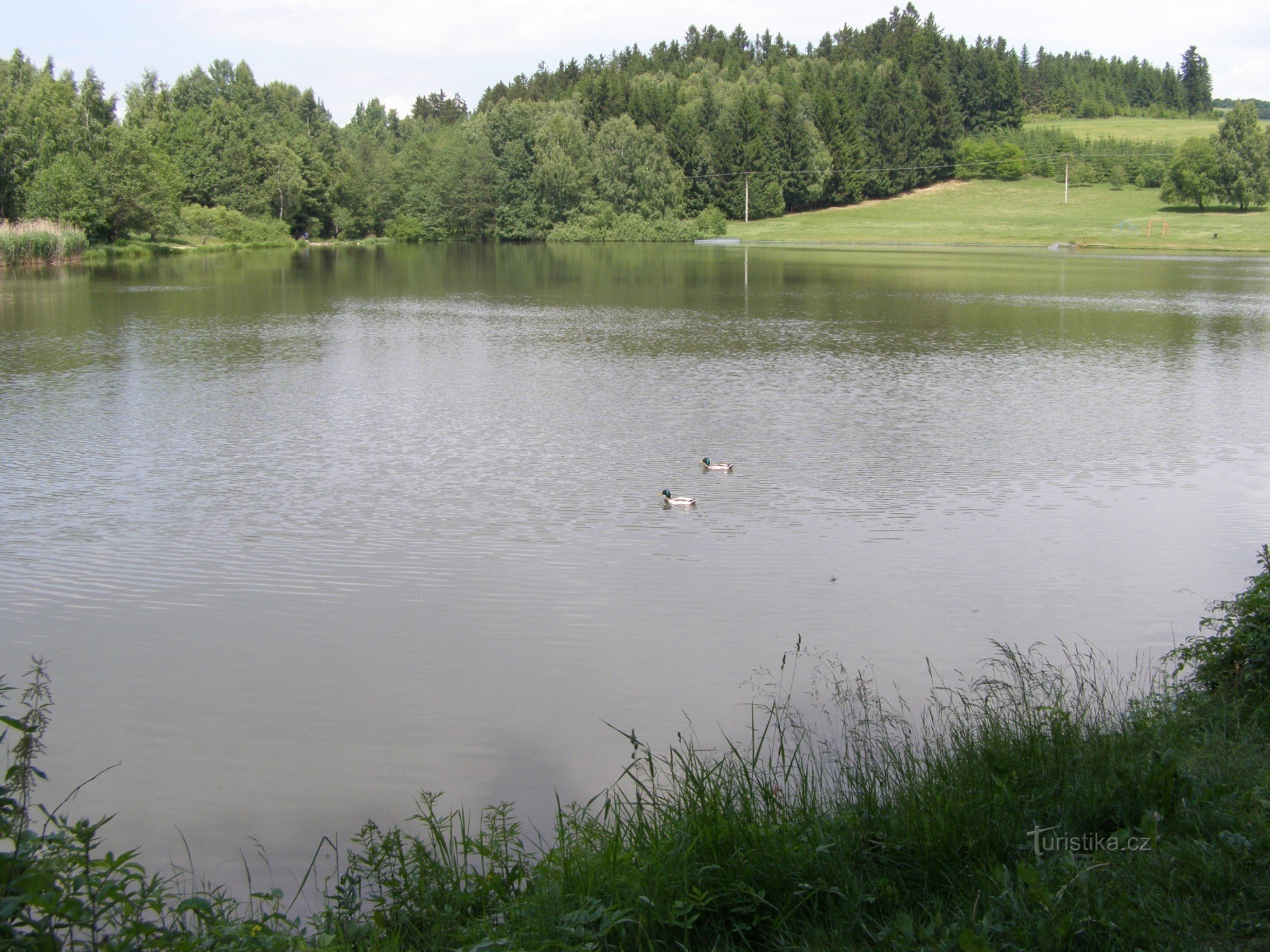Nové Město na Moravě - natural swimming pool