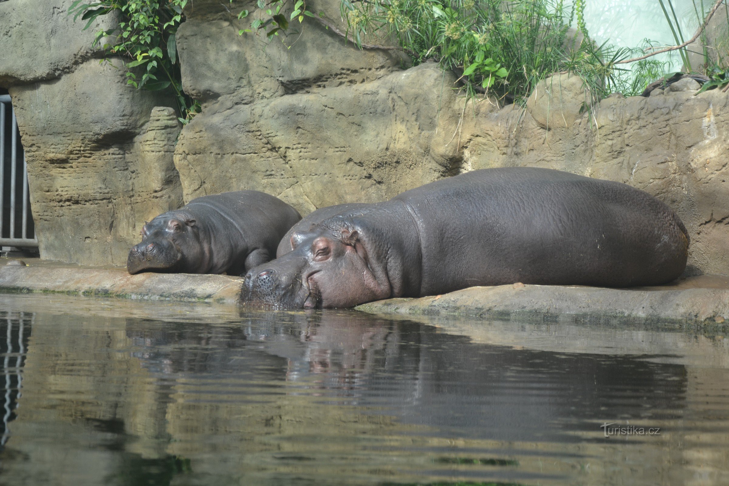 Les nouveaux pavillons du Zoo de Prague