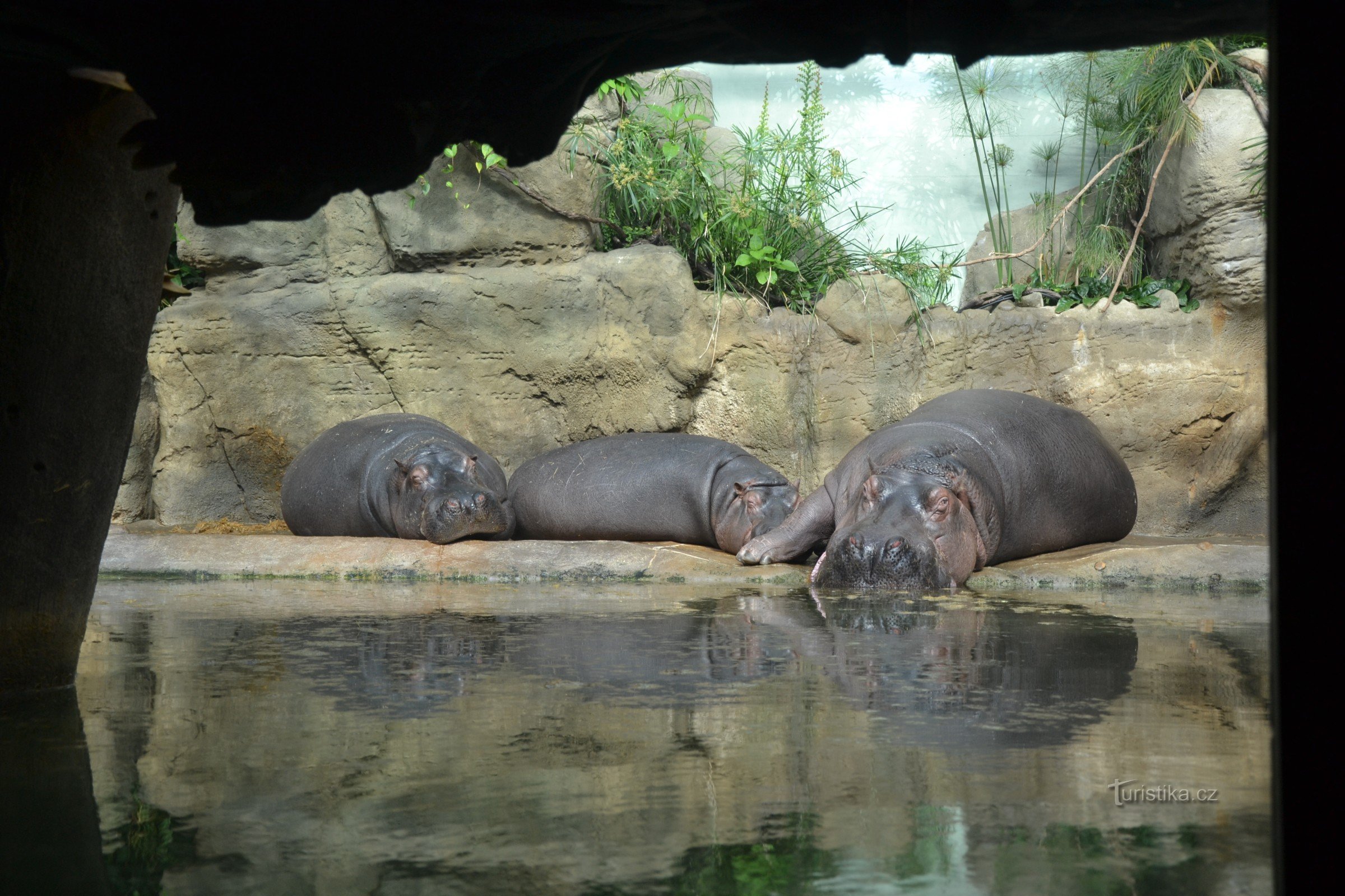 De nieuwe paviljoens van de dierentuin van Praag