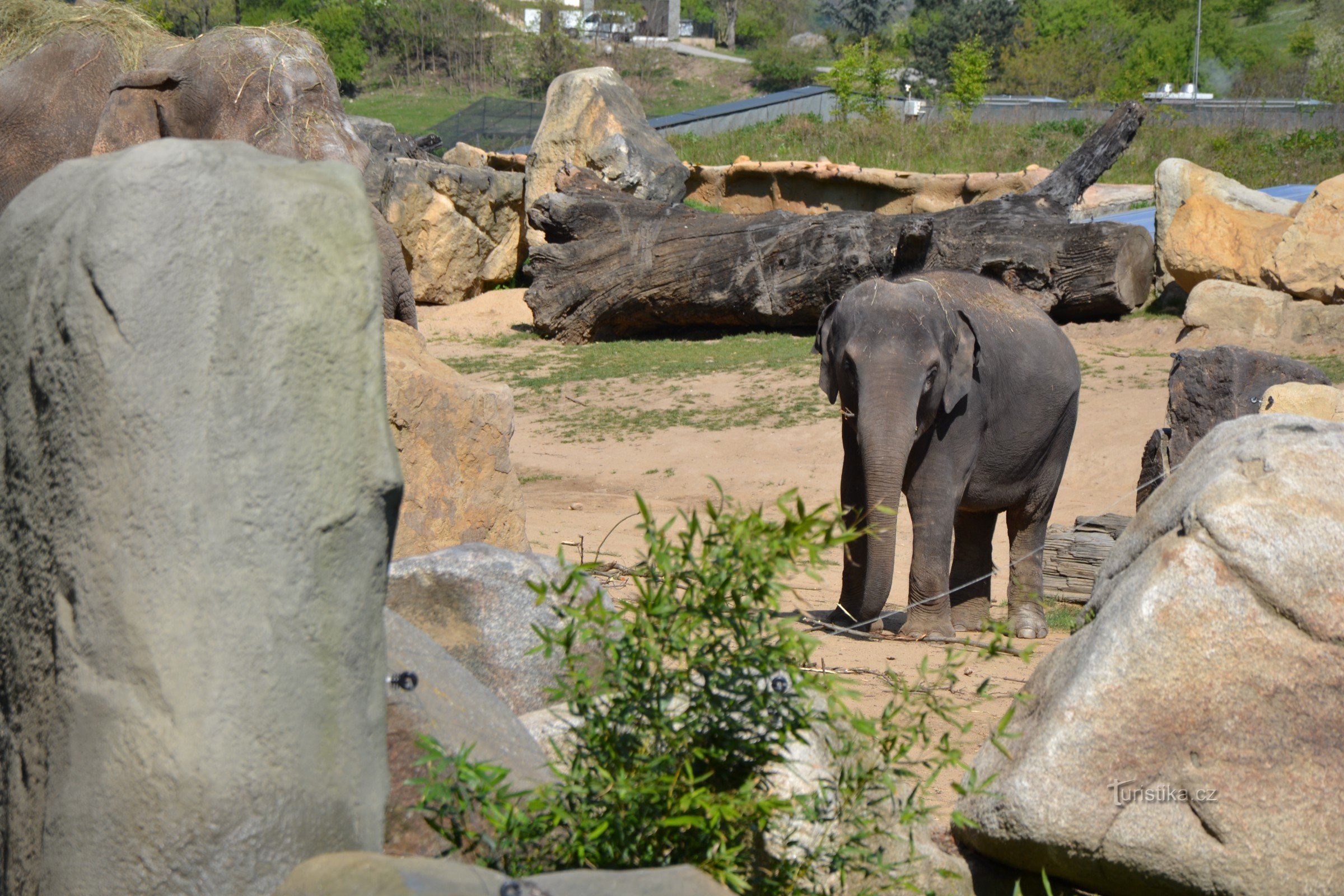 プラハ動物園の新しいパビリ​​オン