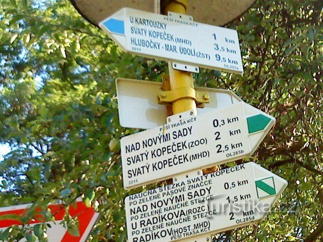 Nové sady - bus