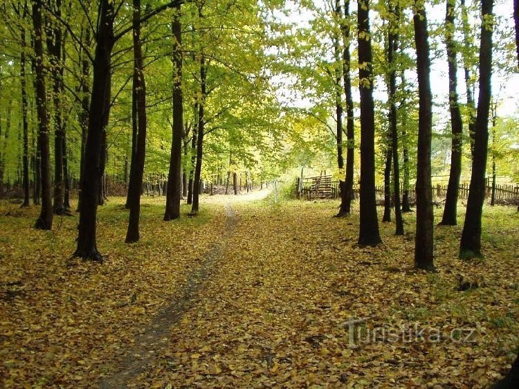 Nieuw Sloten