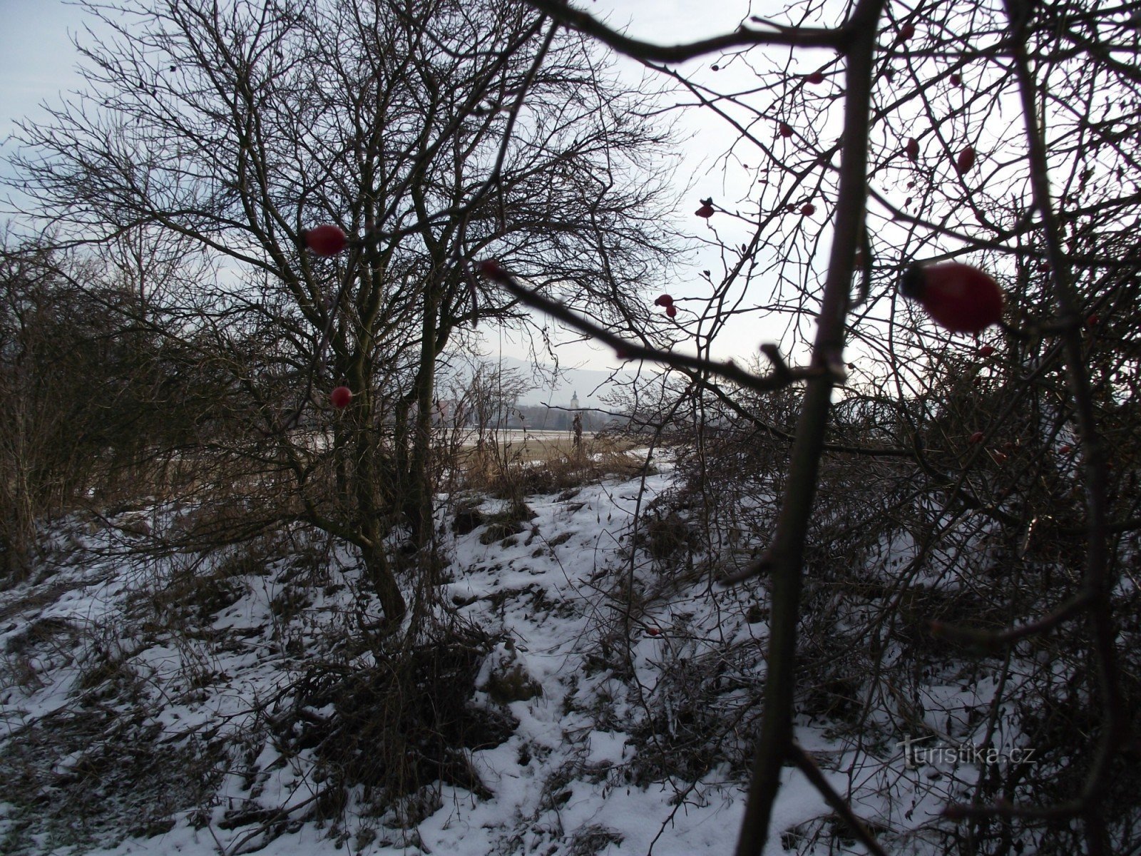 Nytårsbestigning til Háj