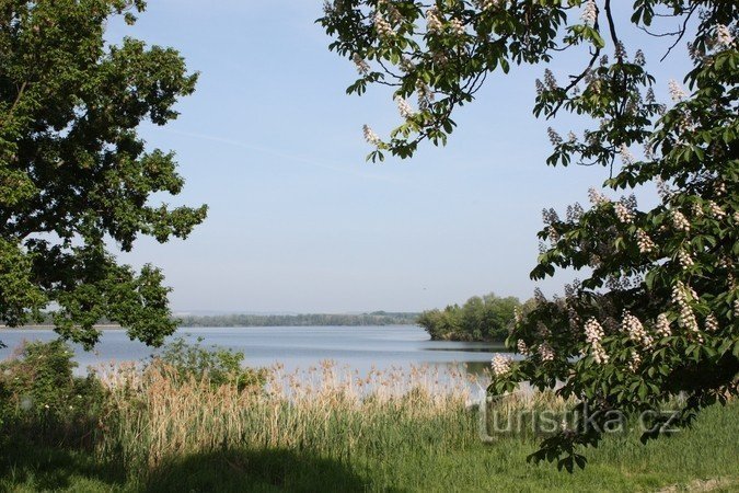 Novovesky pond