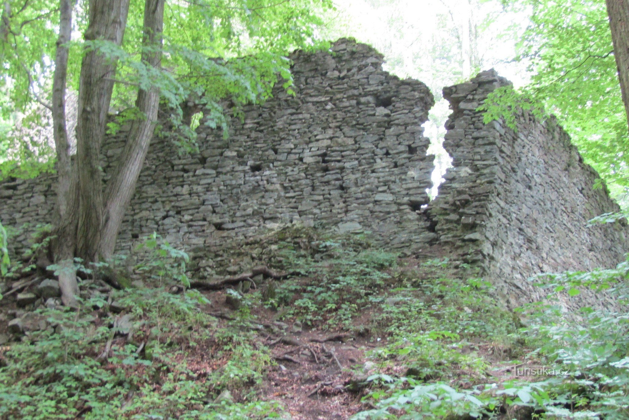 New castle near Kopřivná