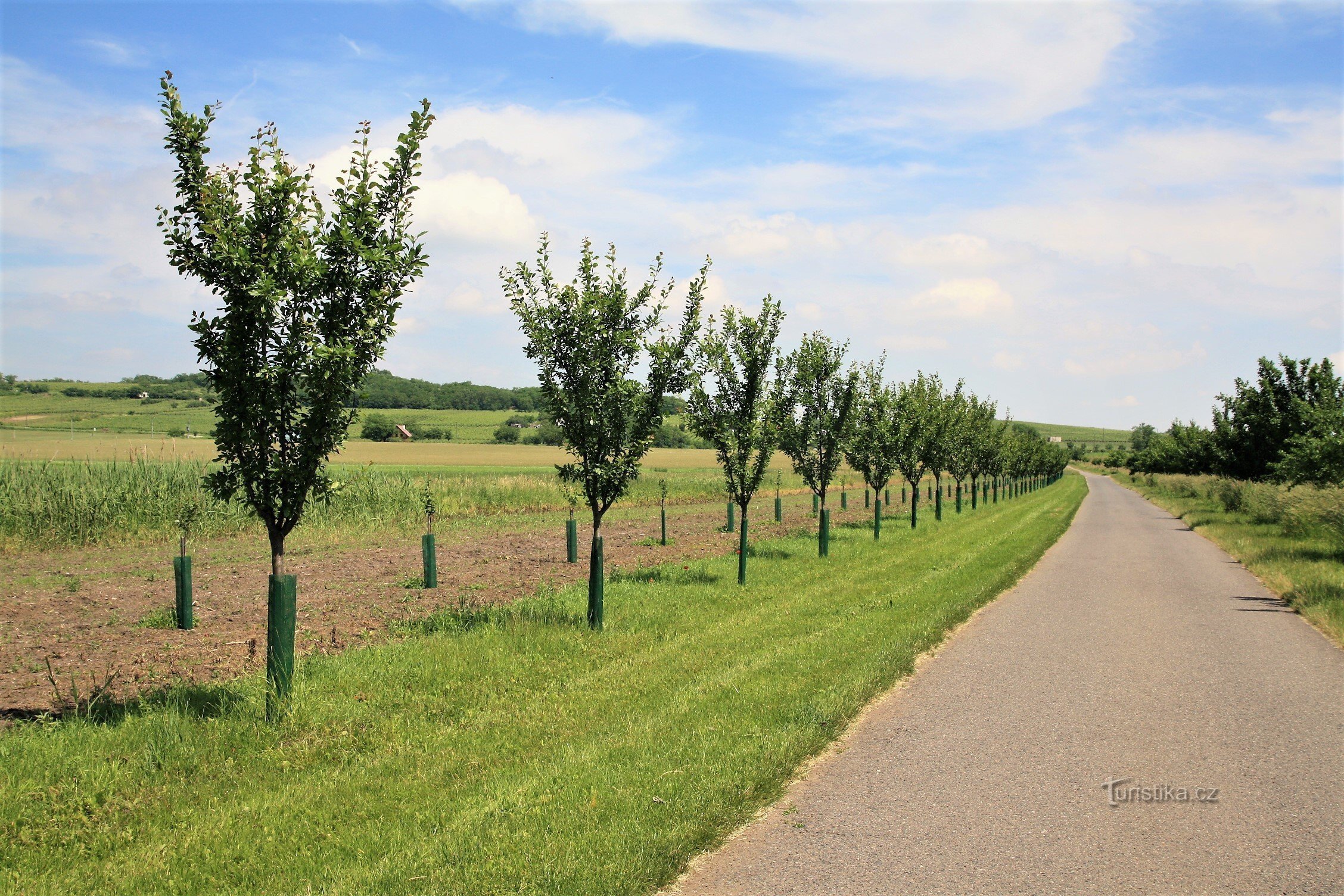 Nový Přerov - Aleja naroda