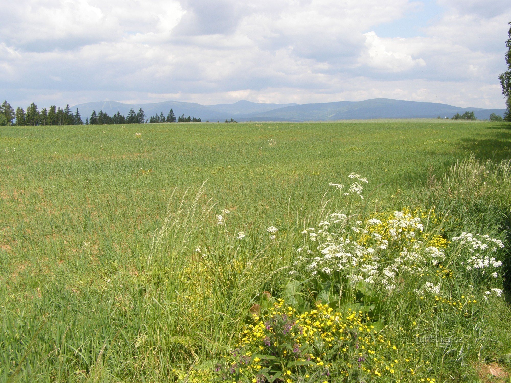 Nový Rokytník - pogled na planino Krkonoše