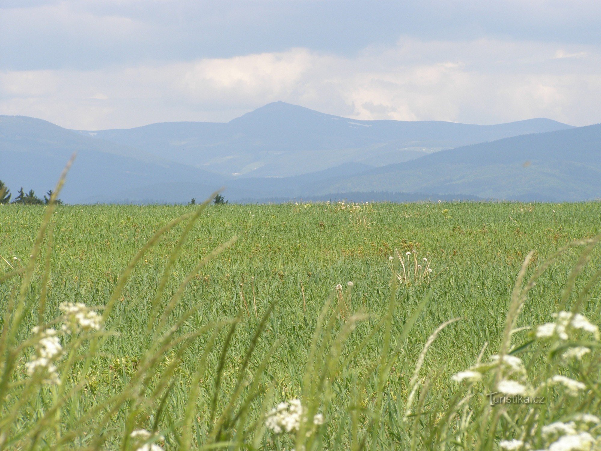 Nový Rokytník - pogled na planino Krkonoše