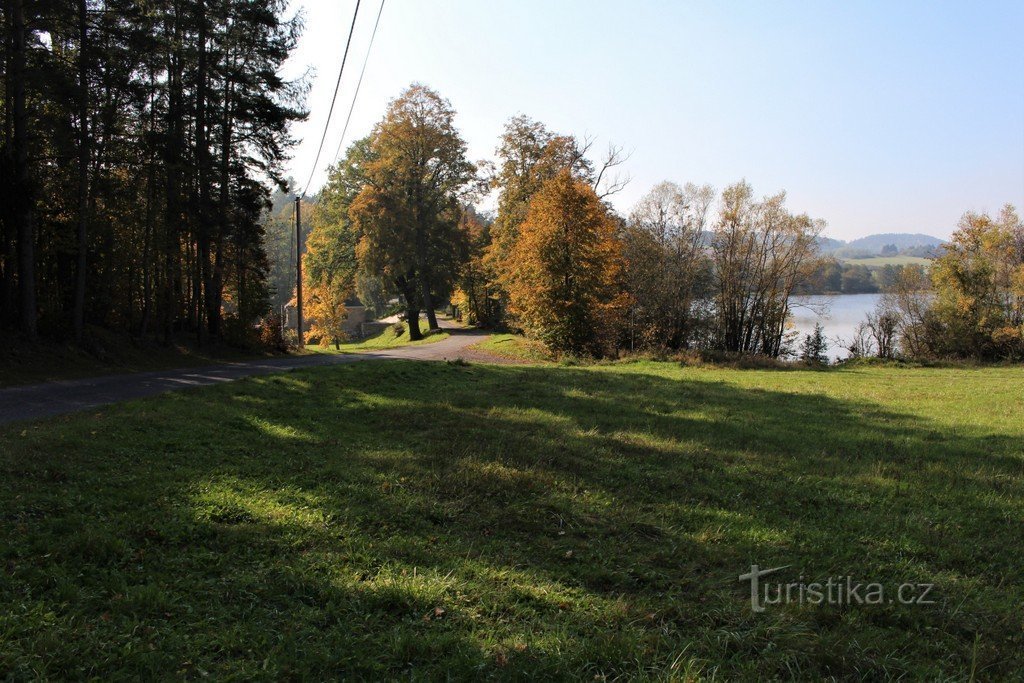 New pond, view from the NE