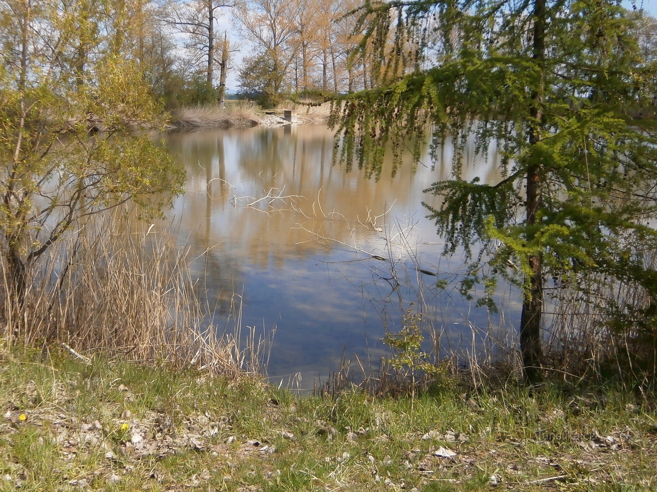 Nový rybník (Slatina Hradec Králové közelében)