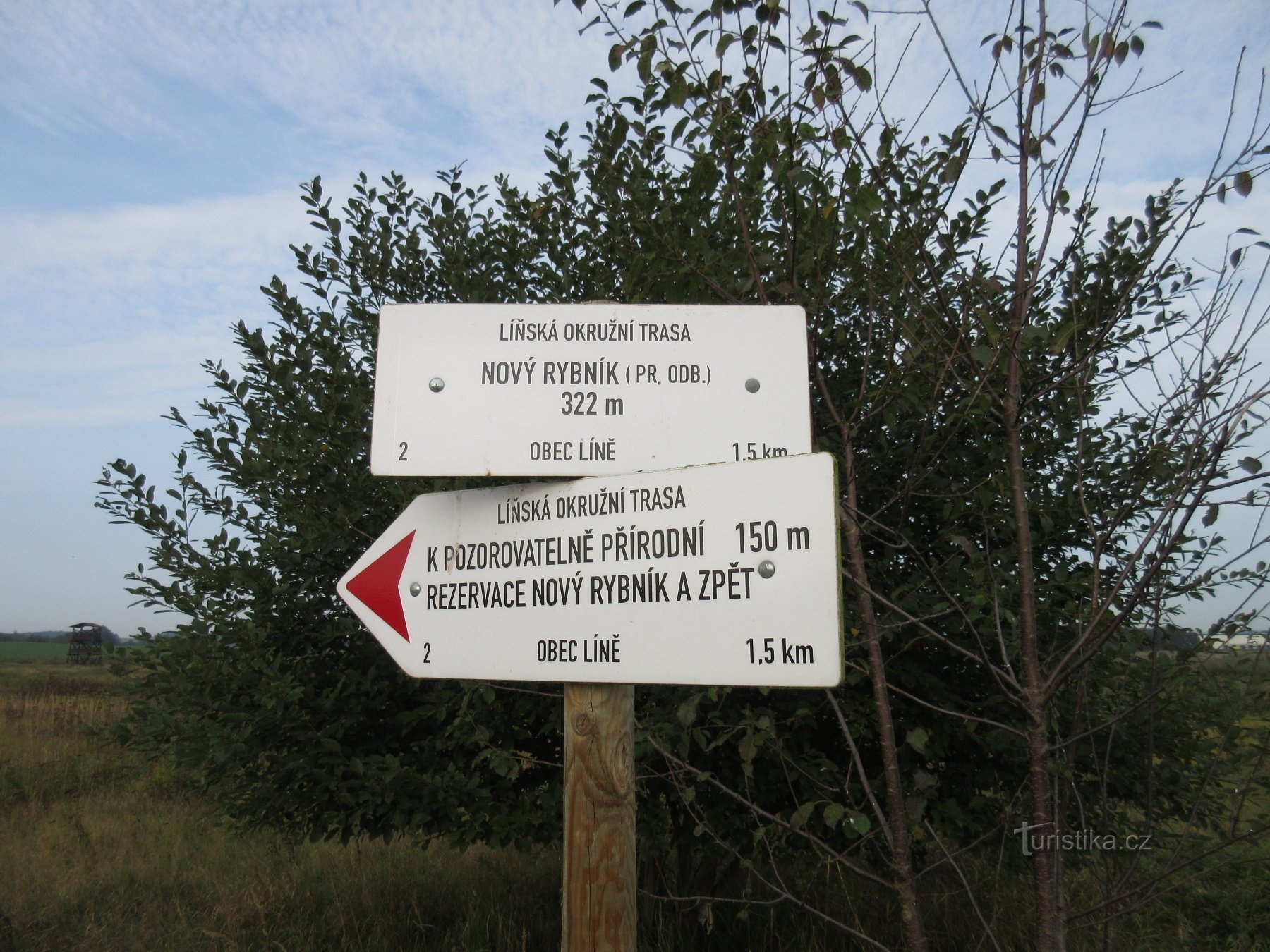 Nový Rybník (Úherce) - réserve naturelle et observatoire d'oiseaux