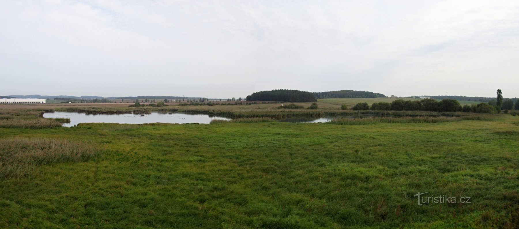 Nový Rybník (Úherce) - réserve naturelle et observatoire d'oiseaux