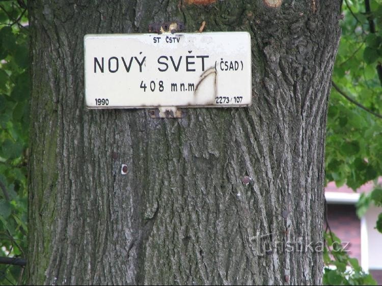 Novi svet