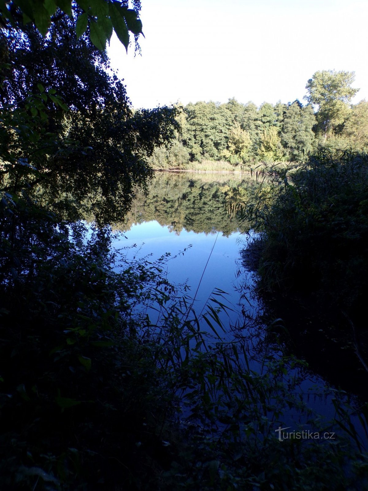 Nový Zábranský pond (Bohdaneč Spa, 2.10.2021 October XNUMX)