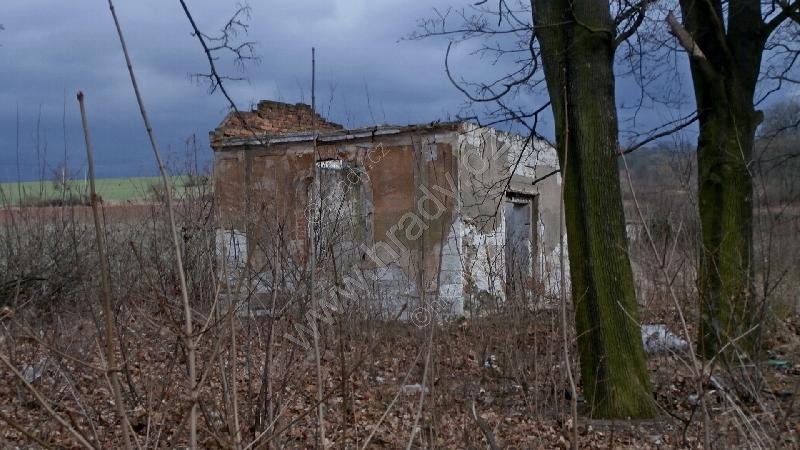 nový židovský hřbitov