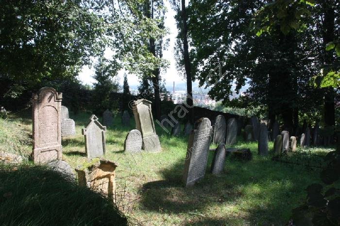 nový židovský hřbitov