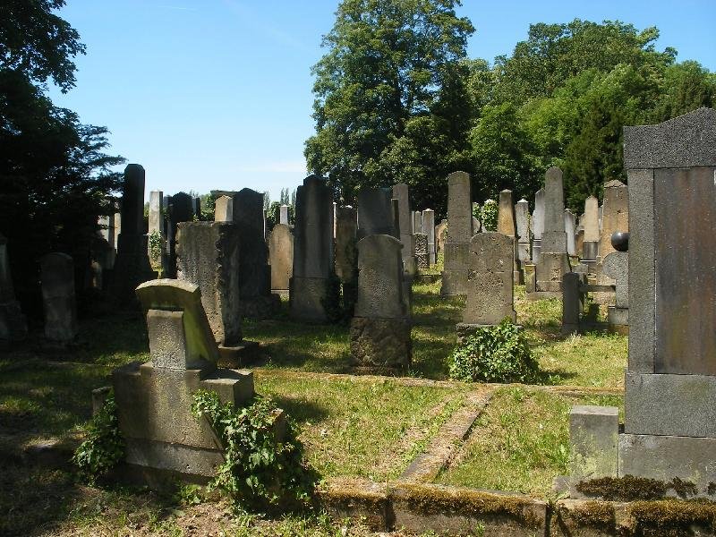 nový židovský hřbitov