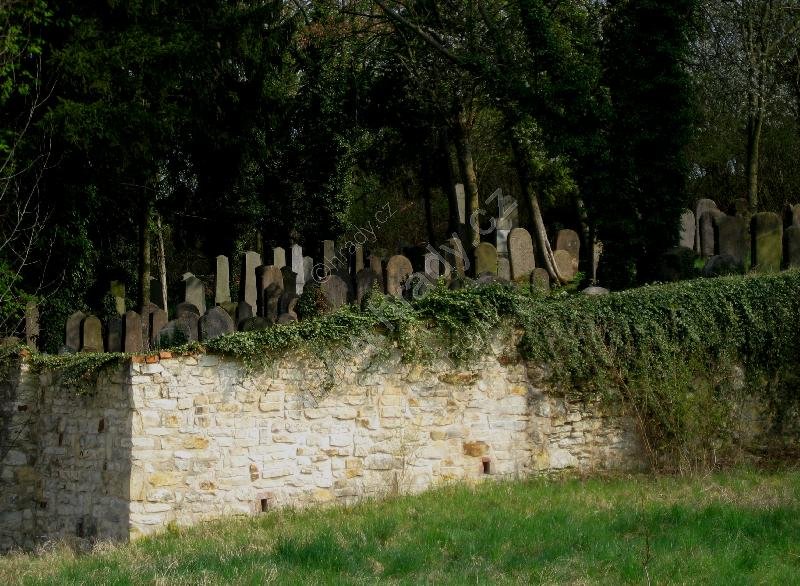 nový židovský hřbitov