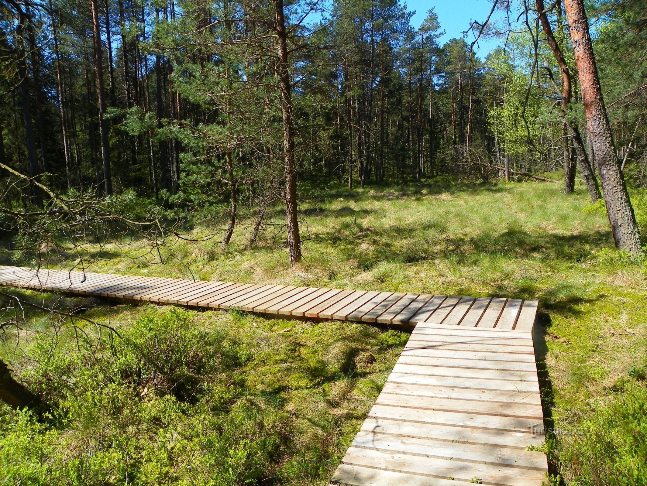 NPR Dářko – tørveland