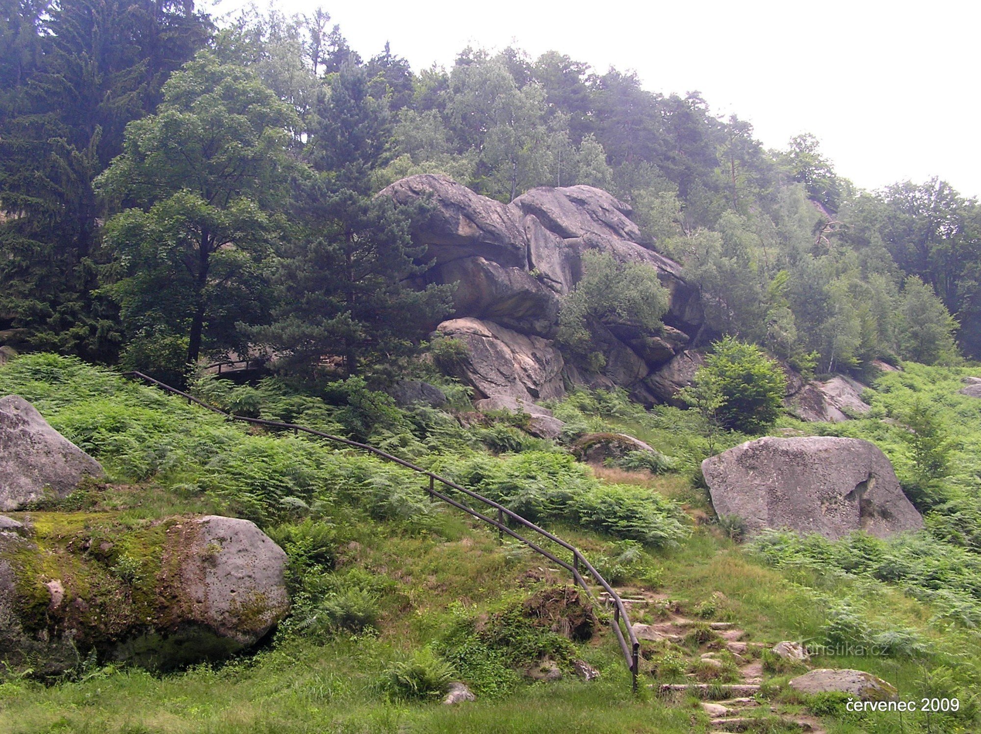 NPR Pulčín-Hradisko - jižní okraj rezervace (červenec 2009)