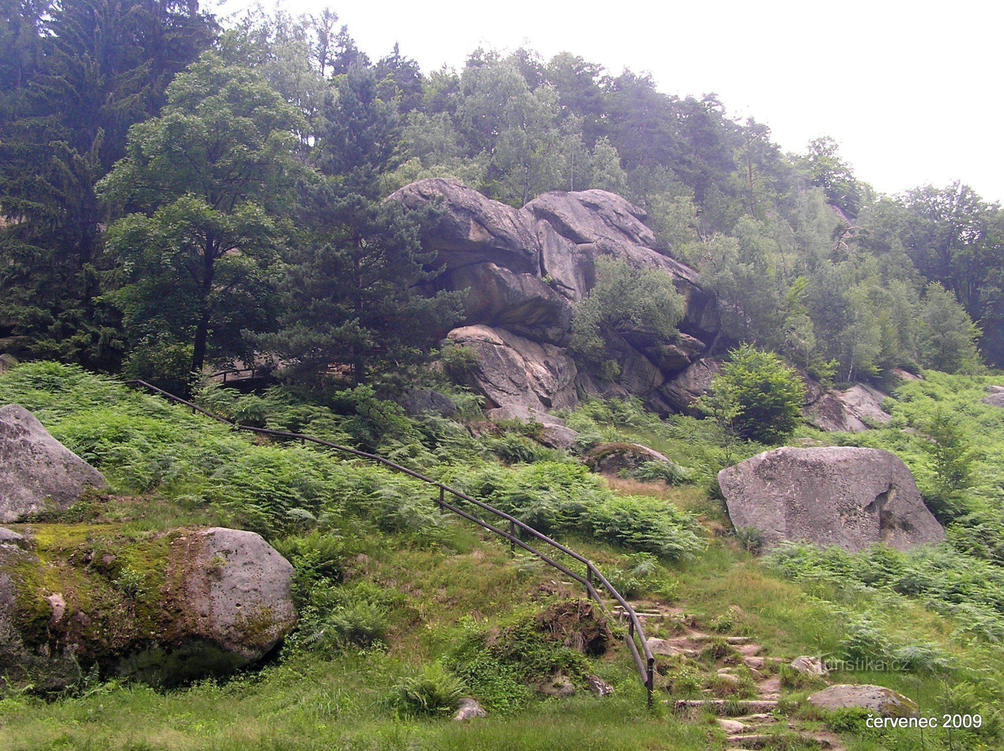 NPR Pulčín-Hradisko - southern edge of the reserve (July 2009)