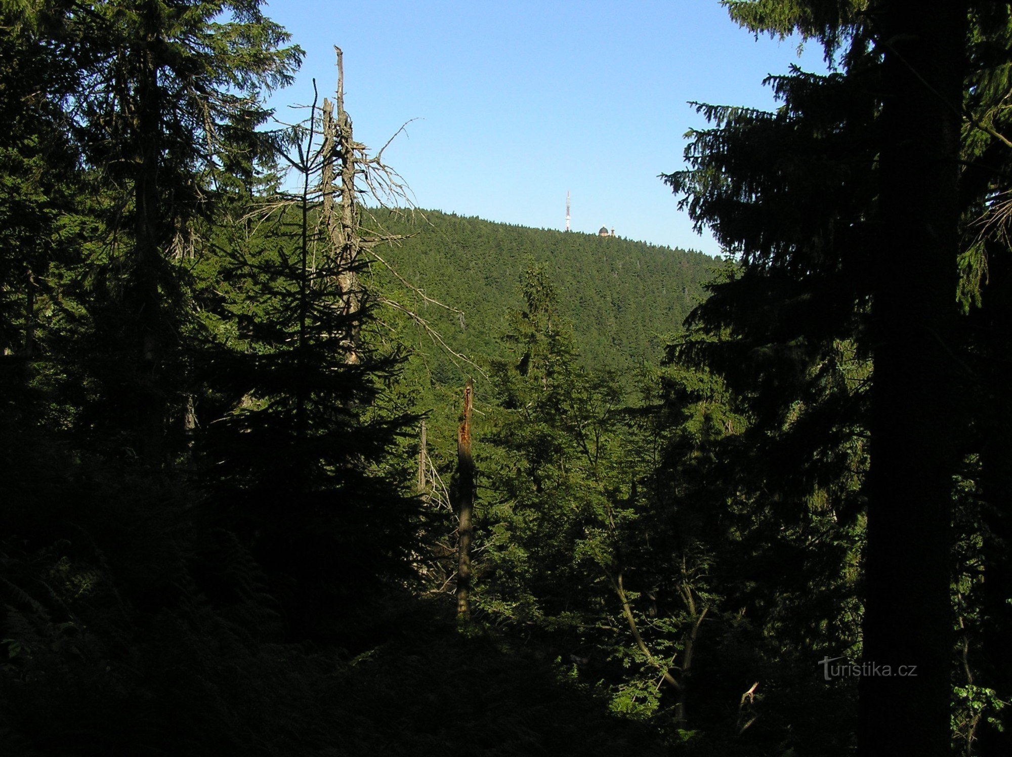 NPR Radhošť from the green route from Ráztoka (July 2009)