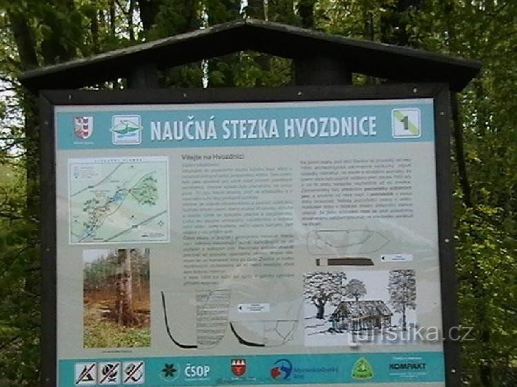 NS – Hvozdnice