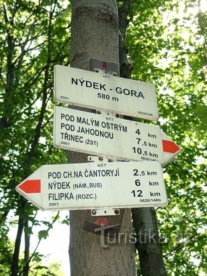 Nydek - Gora