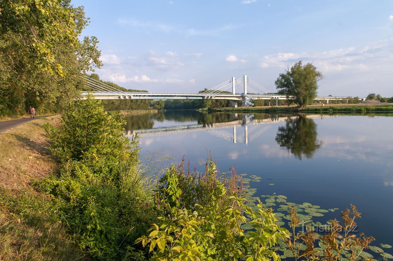 Nymburk – Chvalovice – Straßenhängebrücke