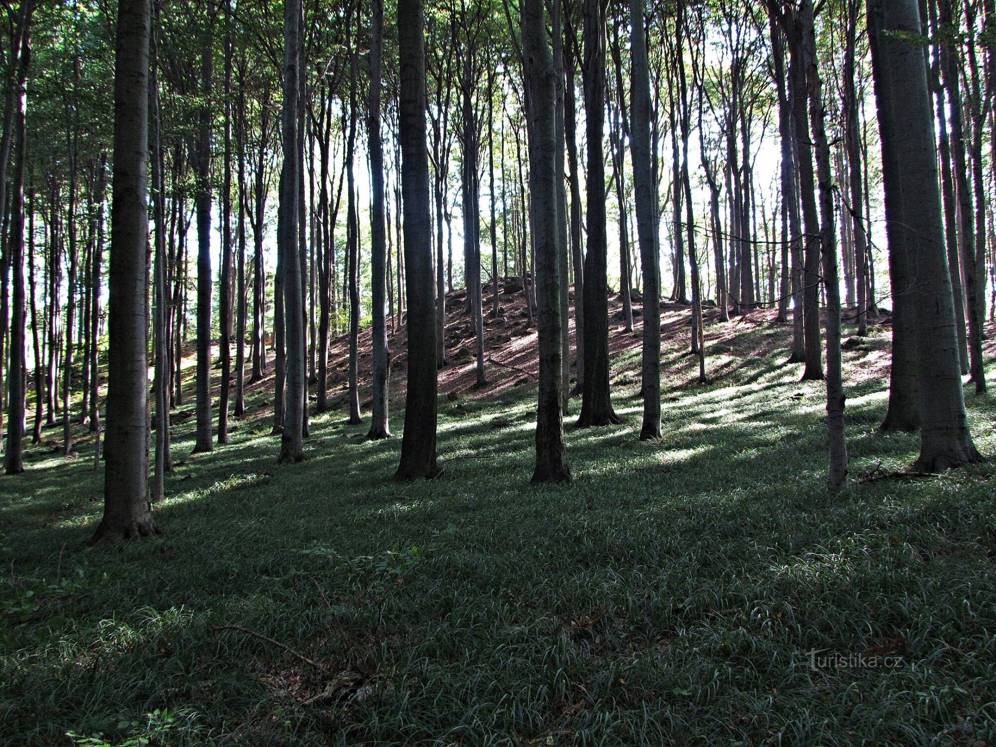 Om naturreservatet Záskalí