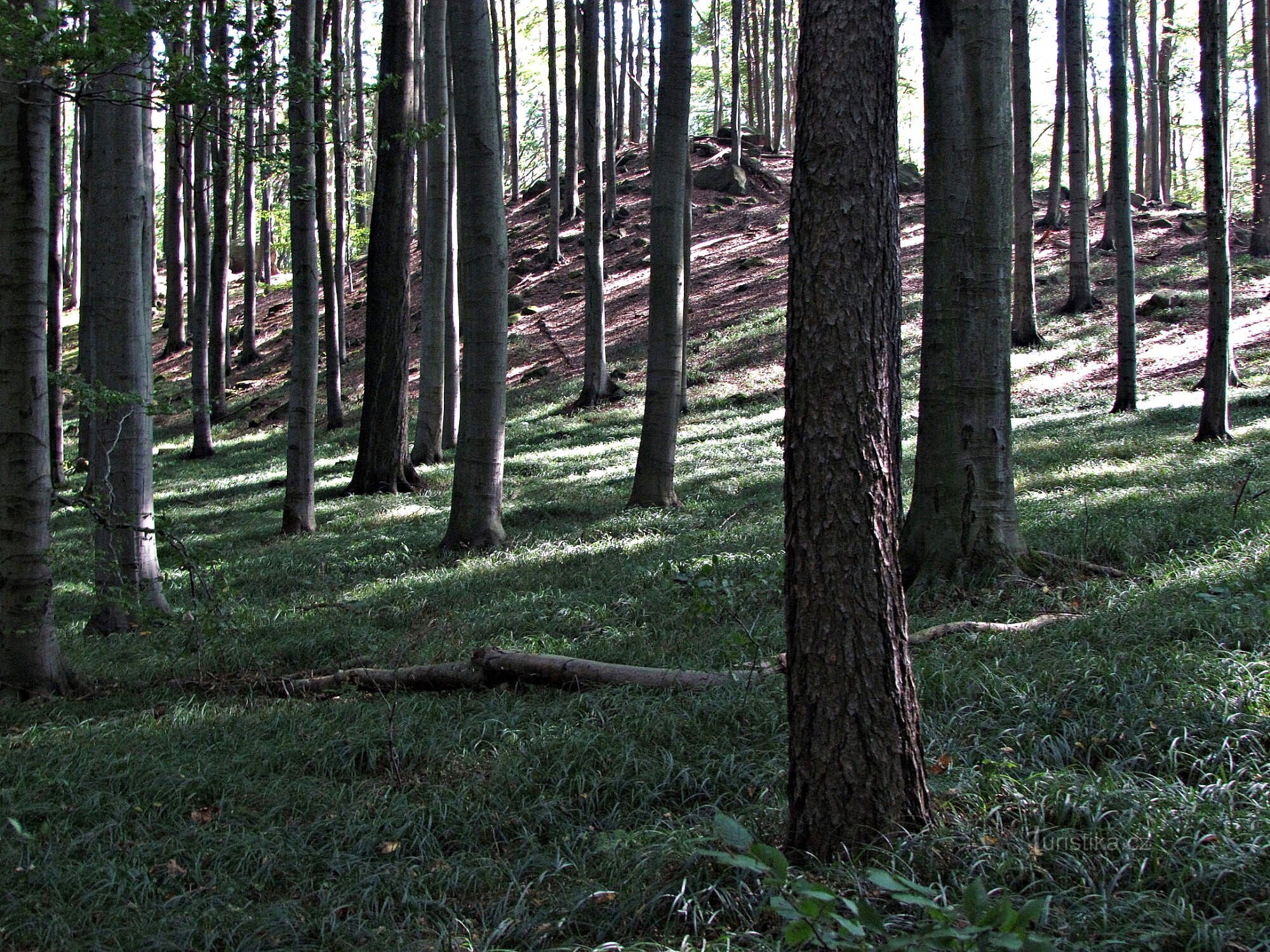 Over het natuurreservaat Záskalí