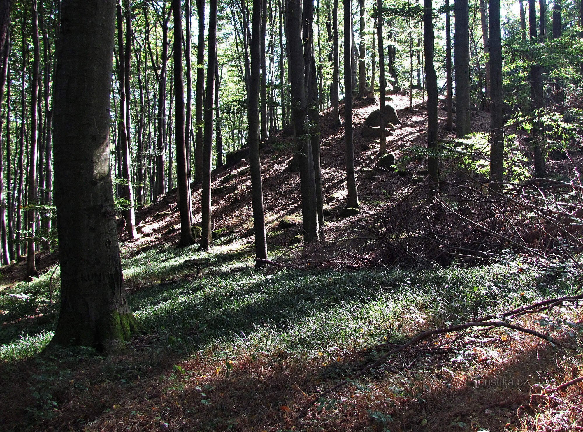 Sulla riserva naturale Záskalí